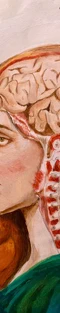 Anatomical Society Research Studentships